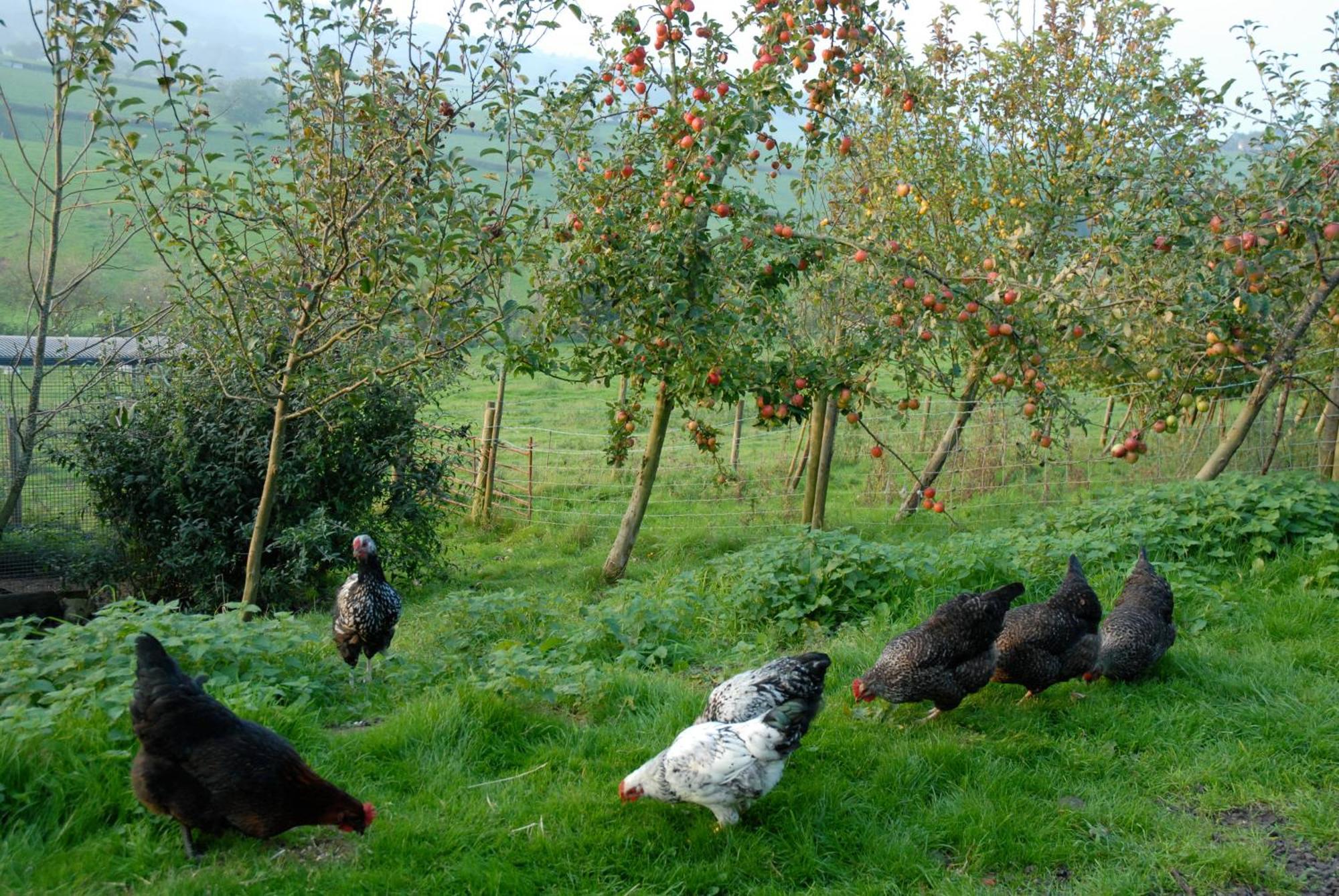 Maison d'hôtes T'S At Lower Rudloe Farm à Corsham Extérieur photo